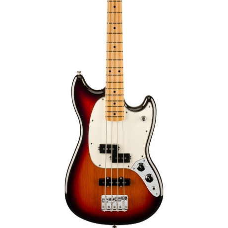 Bass Guitars