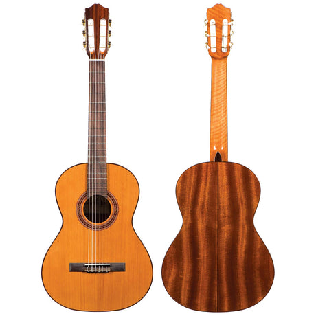Acoustic Guitars