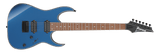 RG421EX