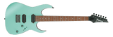 RG421S