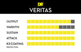 VERITAS Elec String 9-42